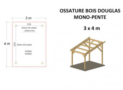 OSSATURE DOUGLAS MONO-PENTE 12M2