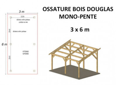 OSSATURE DOUGLAS MONO-PENTE 15M2