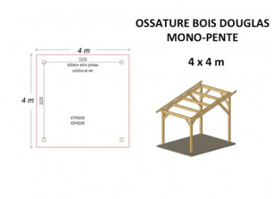 OSSATURE DOUGLAS MONO-PENTE 16M2