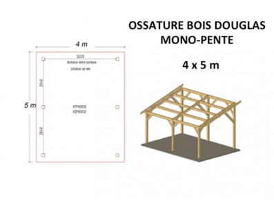 OSSATURE BOIS DOUGLAS MONO-PENTE 20M2