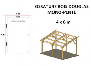 OSSATURE DOUGLAS MONO-PENTE 20M2