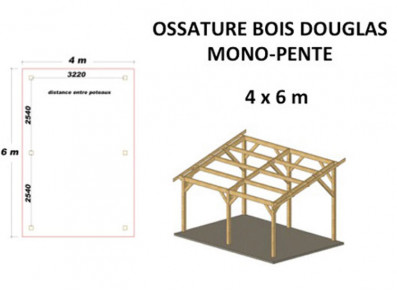 OSSATURE DOUGLAS MONO-PENTE 20M2