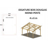 OSSATURE DOUGLAS MONO-PENTE 20M2