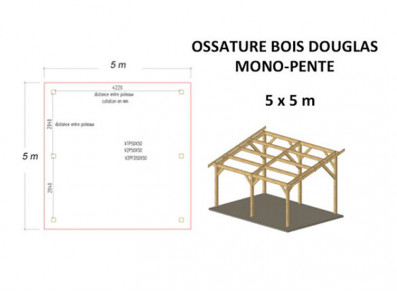 OSSATURE DOUGLAS MONO-PENTE 25M2