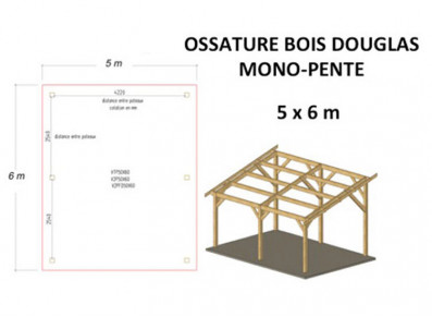 OSSATURE DOUGLAS MONO-PENTE 30M2