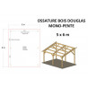 OSSATURE DOUGLAS MONO-PENTE 30M2