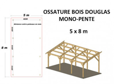 OSSATURE DOUGLAS MONO-PENTE 40M2