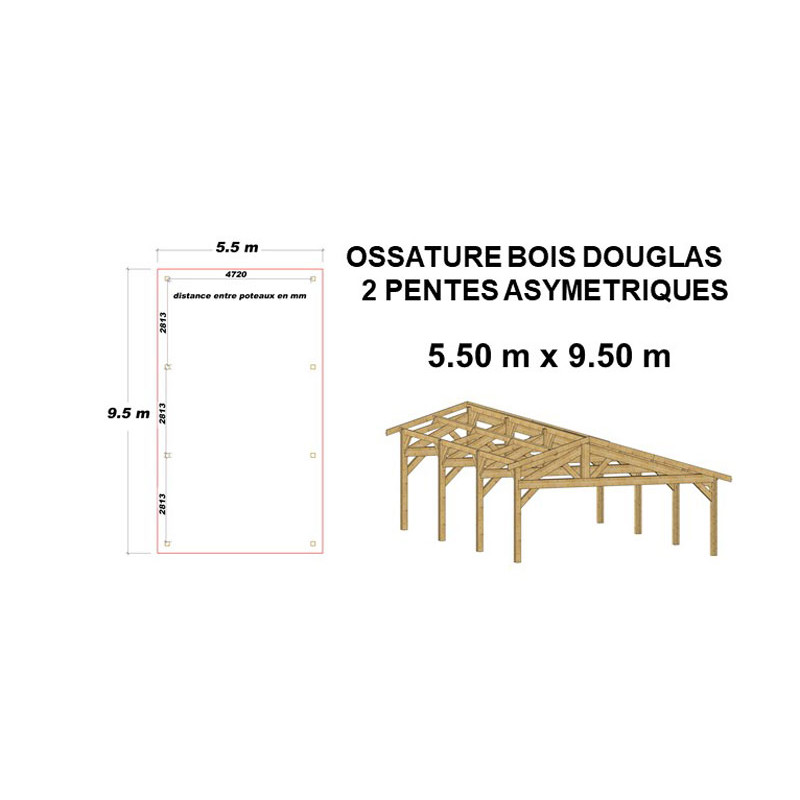 Abri une pente, 450cmx750cm, bois douglas francais, carport, auvent, abri  voiture, cpbf-v1p450x750 V1P45X75 - Conforama