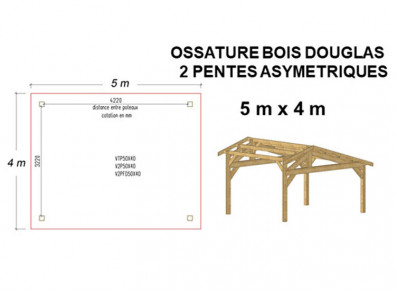 OSSATURE BOIS DOUGLAS ASYMÉTRIQUE 20m²