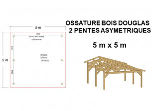 OSSATURE BOIS DOUGLAS ASYMÉTRIQUE 25m²