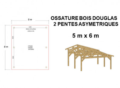 OSSATURE BOIS DOUGLAS ASYMÉTRIQUE 30m²