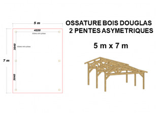 OSSATURE ASYMETRIQUE EN BOIS DOUGLAS MOISÉ - 35m²