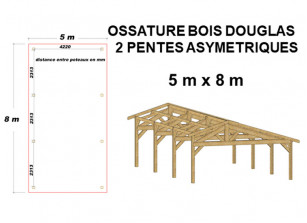 OSSATURE ASYMETRIQUE EN BOIS DOUGLAS MOISÉ - 40m²