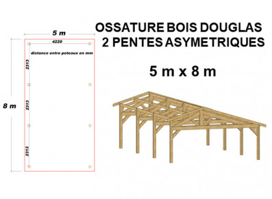 OSSATURE ASYMETRIQUE EN BOIS DOUGLAS MOISÉ - 40m²