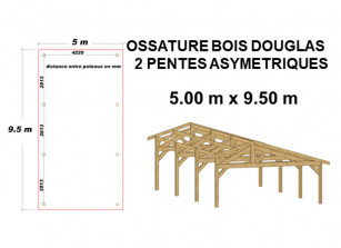 OSSATURE ASYMETRIQUE EN BOIS DOUGLAS MOISÉ - 47.50m²