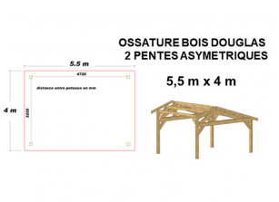 ABRI VOITURE BOIS DOUGLAS - Ossature moisée 5.50 x 4.00 M