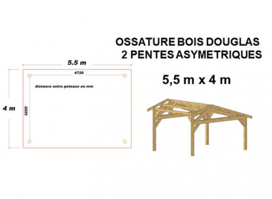 ABRI VOITURE BOIS DOUGLAS - Ossature moisée 5.50 x 4.00 M