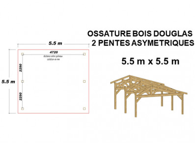 ABRI VOITURE BOIS DOUGLAS - Ossature moisée asymétrique 5.50 x 5.50 M
