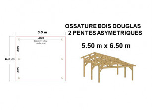 ABRI VOITURE BOIS DOUGLAS 5.50 x 6.50 M