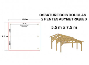 ABRI VOITURE BOIS DOUGLAS 5.50 x 6.50 M