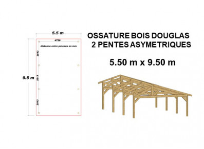 ABRI VOITURE BOIS ASYMETRIQUE