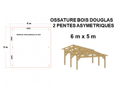 OSSATURE BOIS DOUGLAS ASYMÉTRIQUE 30m²