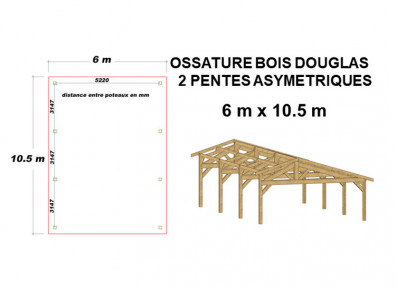 OSSATURE BOIS DOUGLAS ASYMÉTRIQUE 63m²