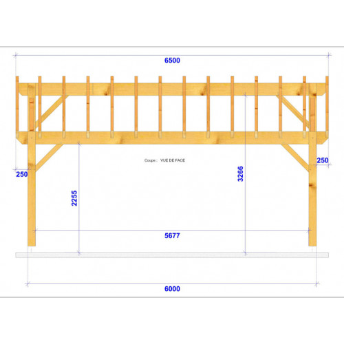 CHARPENTE BOIS MONOPENTE TENON/MORTAISE - 24M2