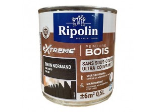 Bidon Ripolin de 0,5L