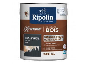 Bidon Ripolin de 2,5L