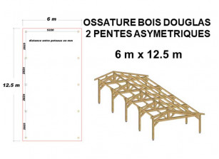 OSSATURE BOIS DOUGLAS ASYMÉTRIQUE 75m²