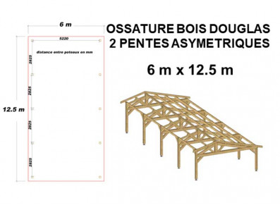 OSSATURE BOIS DOUGLAS ASYMÉTRIQUE 75m²