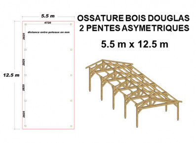 OSSATURE BOIS DOUGLAS ASYMÉTRIQUE 52.25m2
