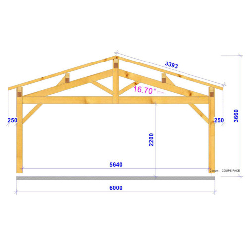 CHARPENTE BOIS 2 PENTES TENON/MORTAISE - 35M2