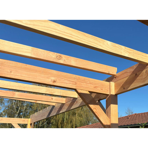 CARPORT BOIS DOUGLAS ADOSSE + LED