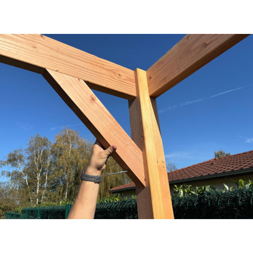 CARPORT BOIS DOUGLAS ADOSSE + LED