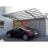 ABRI VOITURE METAL 2 PIEDS :::::::: 5 X 3 M