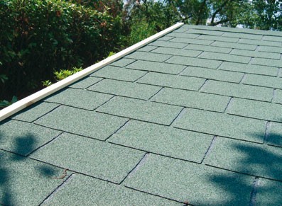 SHINGLE VERT VENDU AVEC L'ABRI