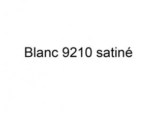 COLORIS BLANC SATINE 9210