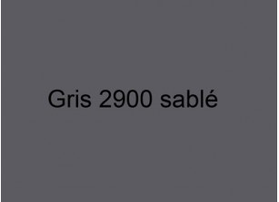 COLORIS GRIS SABLE 2900