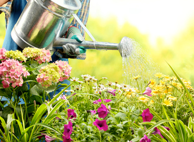 Jardin en août, les conseils des vacanciers !