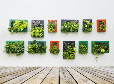 mur végétal élégant et chic avec des cadres colorés
