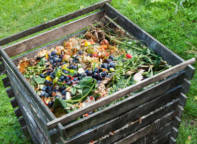 Le compostage, la nouvelle tendance des jardiniers écolos !