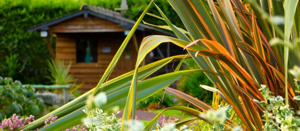 cabane en madriers de bois