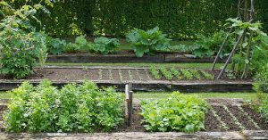 Abri PVC pour un potager