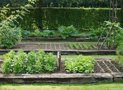 Abri PVC pour un potager