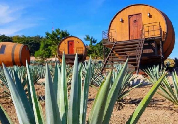 Des chalets en forme de tonneaux et barriques !