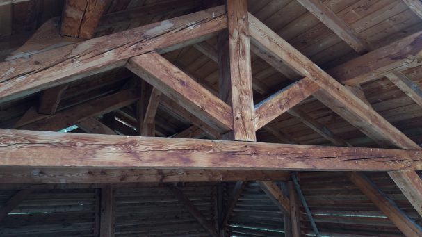 ossature de carport ou abri de jardin bois et évolution du bois dans le temps