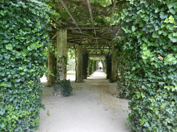 abri tonnelle en bois pour le jardin