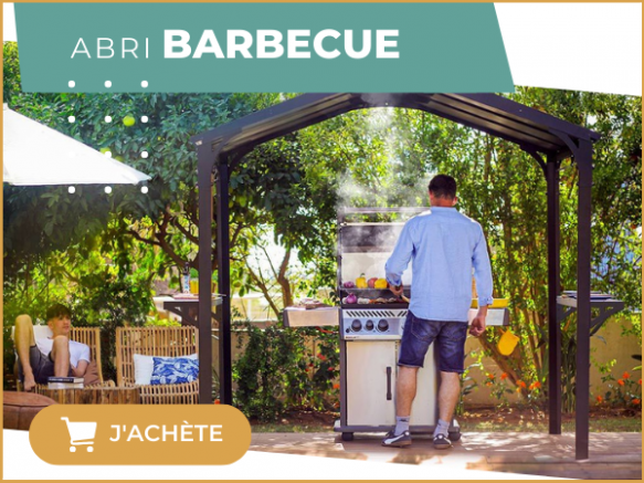 Créer un abri métal ou bois pour son barbecue : une solution en kit pour  vos repas extérieurs !